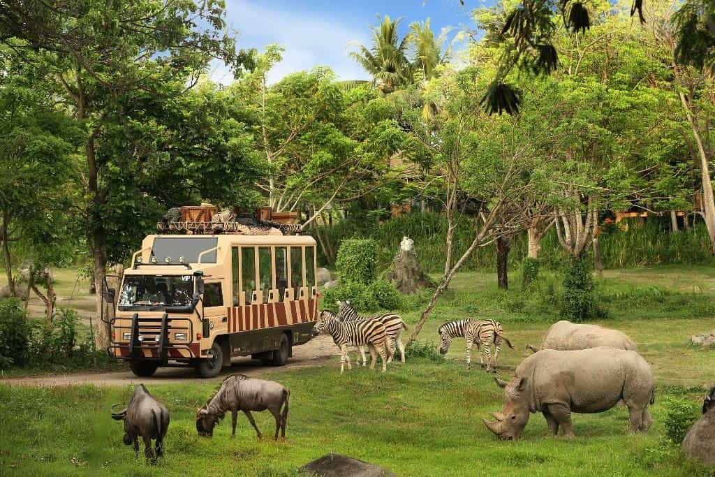 khu-safari-hoang-da